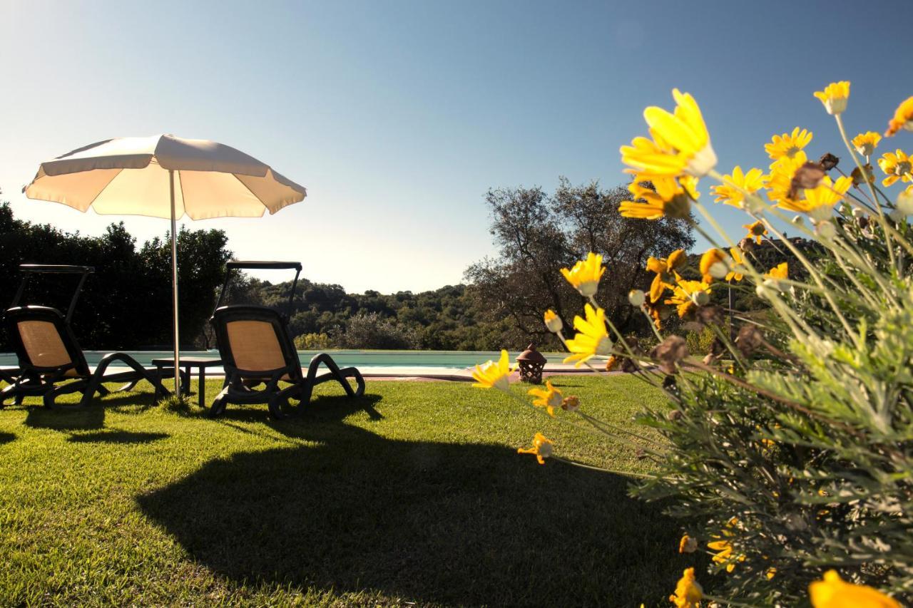 Poggio Sasseta Villa Montiano Dış mekan fotoğraf